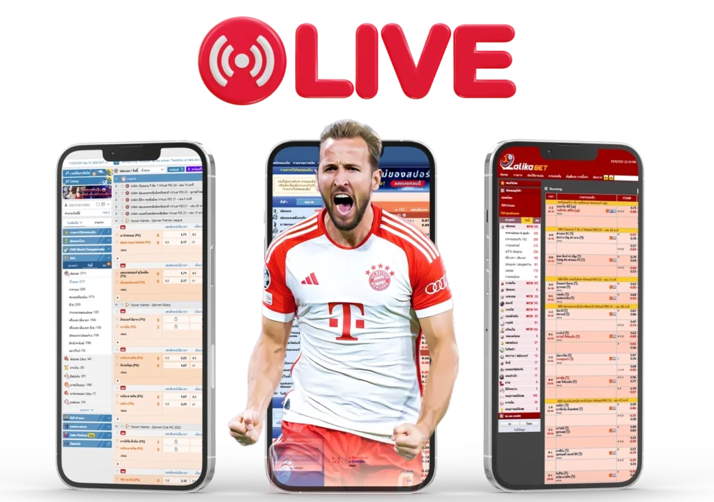 ดูบอลสด hi99win